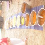Vraj-Yatra-2014- (2554)